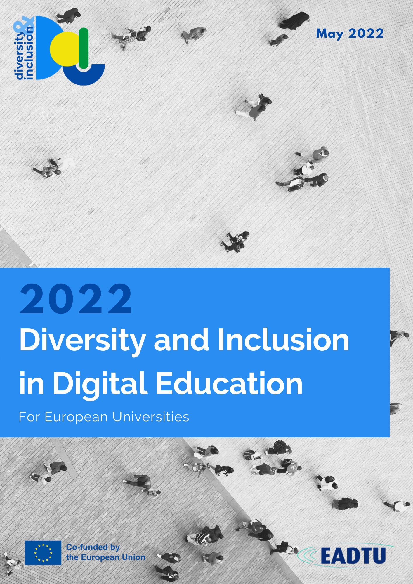 Diversity and Inclusion in Digital Education